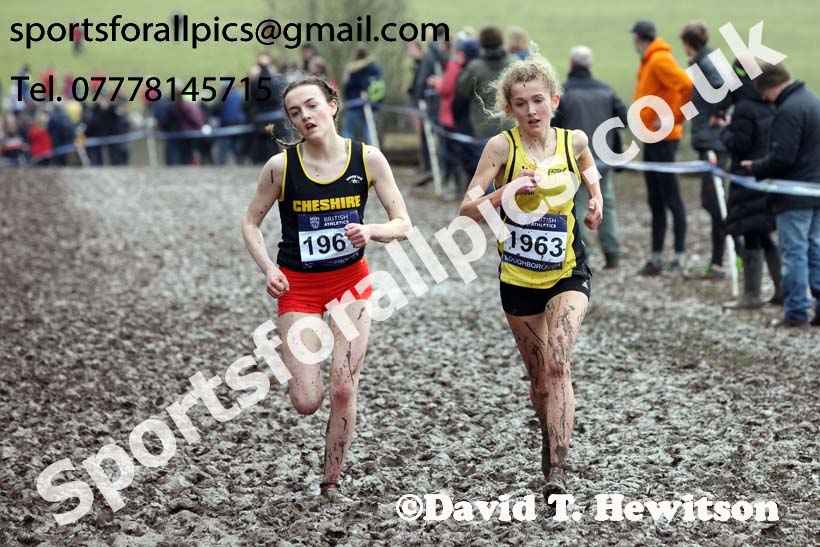 Womens under-17s 2018 British Inter Counties Cross Country Champs., Prestwold Hall, Loughborough. Photo: David T. Hewitson/Sports for All Pics